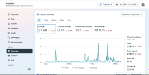 organic social media growth